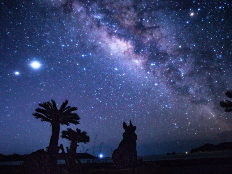 座間味島　星空　マリリン